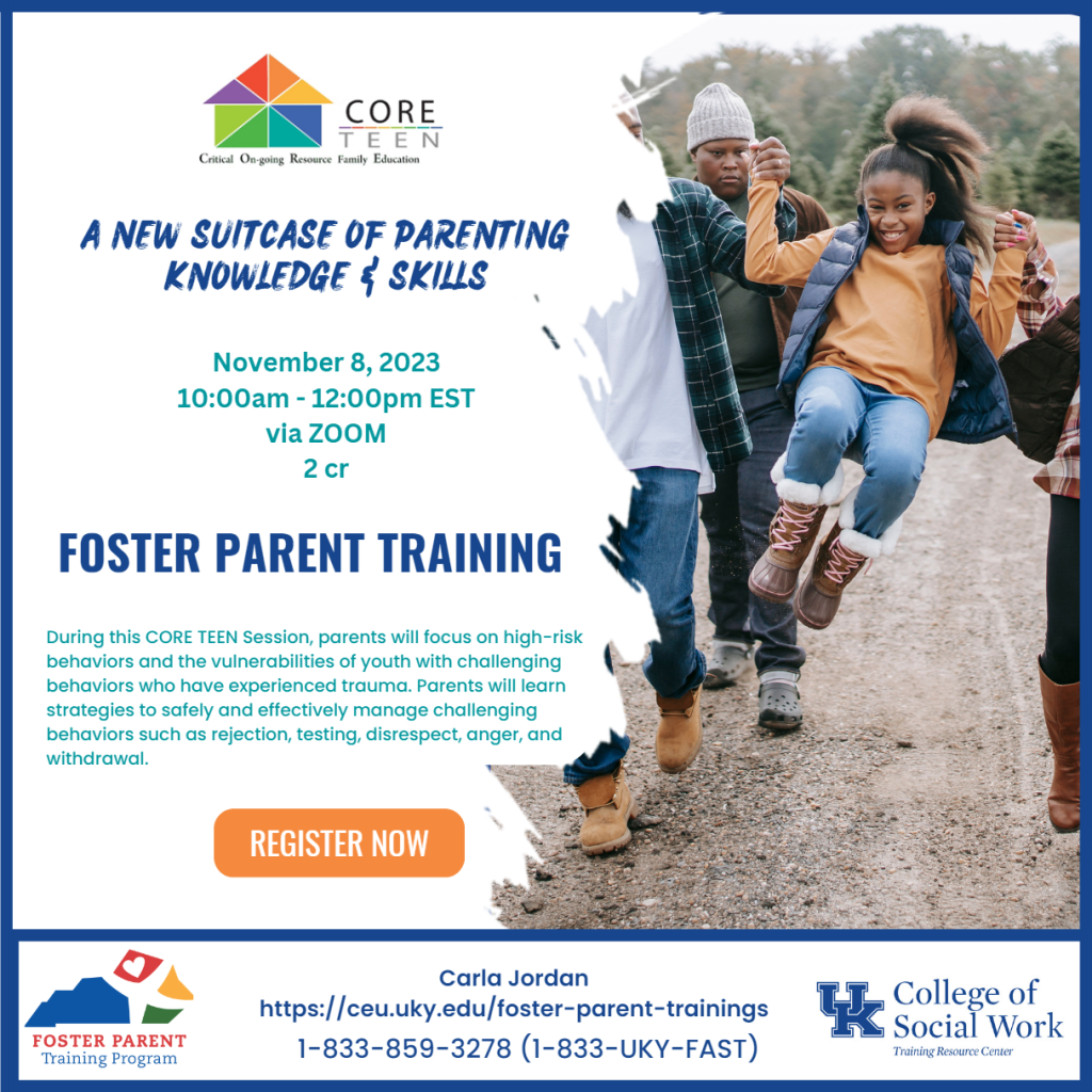 A New Suitcase of Parenting Knowledge and Skills Training graphic