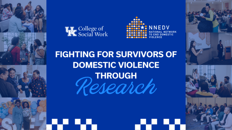 literature review of domestic violence research
