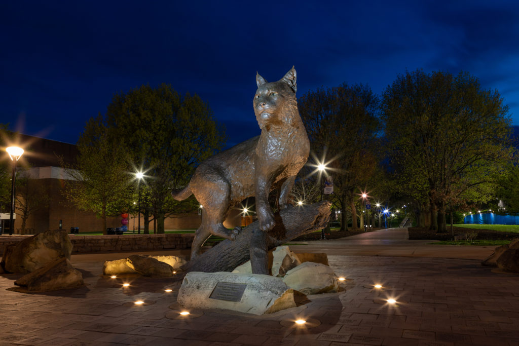 Bronze Wildcat statue in low light on the University of Kentucky campus