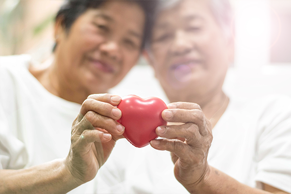 Two people holding a plastic heart together