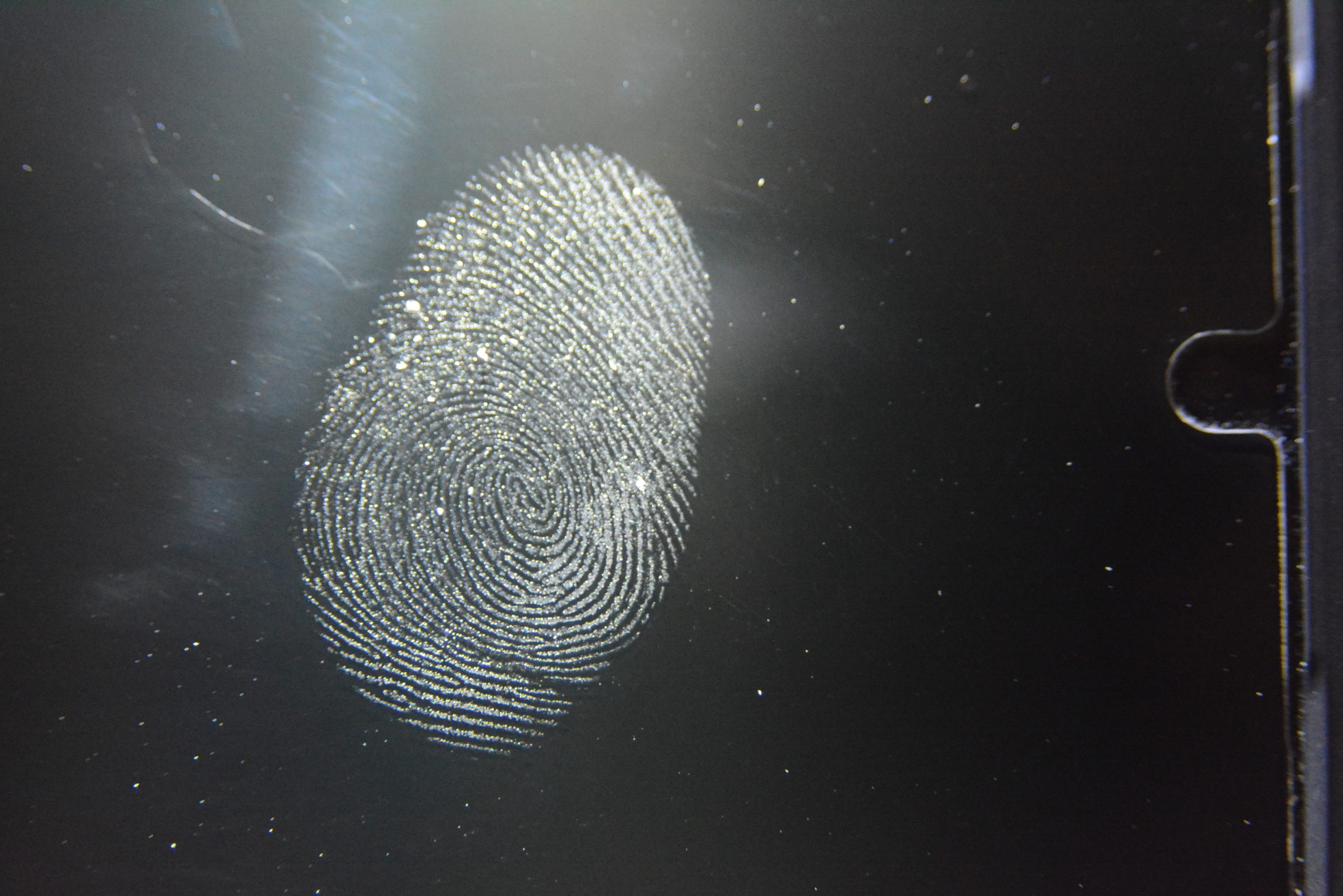 Finger print